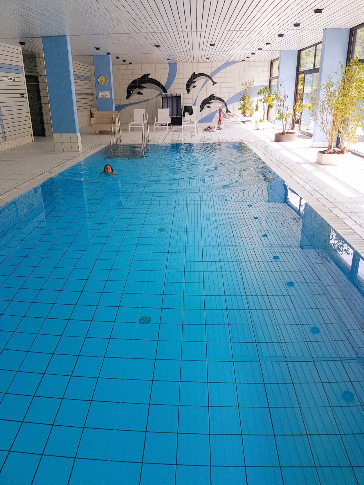 Bad Reichenhall - Apartment house "Am Schroffen" - Indoor Pool (beheizt / heated)